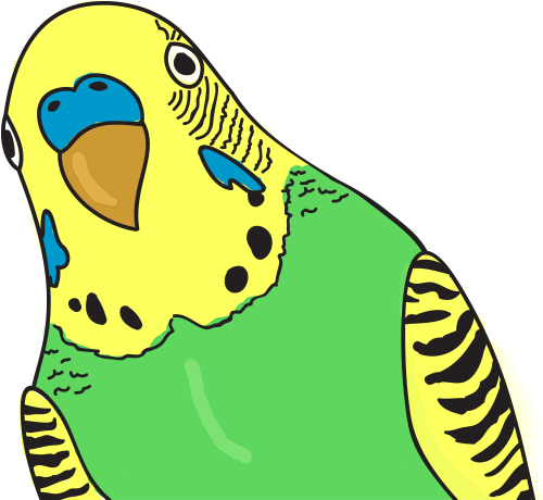 Mascot parrot