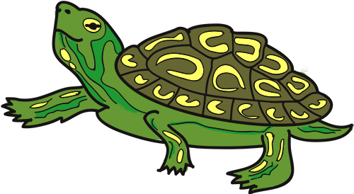 Mascot Turtle Pig