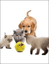 Welcome to October and puppies playing in leaf piles. This month, get 20% off all dog and cat grooming supplies. Just mention this online special at the front desk.