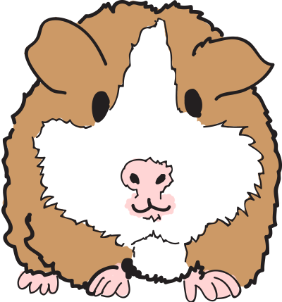 Mascot Guinea Pig